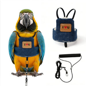 bird harness - Other Pet Products - Cibaypets