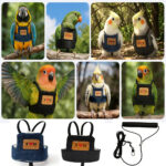 bird harness - Other Pet Products - China Pet Accessories Manufacturer | Dog Harness,Pet Leash,Dog Collar,Cat Collar,Dog C...