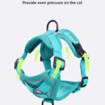 cat harness leash - Pet Collars & Leashes - China Pet Accessories Manufacturer | Dog Harness,Pet Leash,Dog Collar,Cat ...