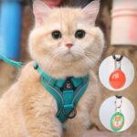cat harness leash - Pet Collars & Leashes - China Pet Accessories Manufacturer | Dog Harness,Pet Leash,Dog Collar,Cat ...