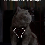 cat harness leash - Pet Collars & Leashes - China Pet Accessories Manufacturer | Dog Harness,Pet Leash,Dog Collar,Cat ...