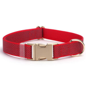 dog collar - Pet Collars & Leashes - Cibaypets