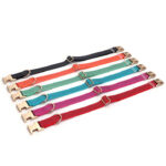 dog collar - Pet Collars & Leashes - China Pet Accessories Manufacturer | Dog Harness,Pet Leash,Dog Collar,Cat Collar,...