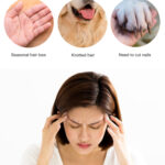 pet grooming set - Pet Cleaning & Grooming Products - China Pet Accessories Manufacturer | Dog Harness,Pet Leash,Dog C...