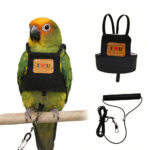 bird harness - Other Pet Products - China Pet Accessories Manufacturer | Dog Harness,Pet Leash,Dog Collar,Cat Collar,Dog C...