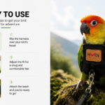 bird harness - Other Pet Products - China Pet Accessories Manufacturer | Dog Harness,Pet Leash,Dog Collar,Cat Collar,Dog C...