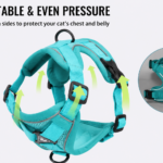 cat harness leash - Pet Collars & Leashes - China Pet Accessories Manufacturer | Dog Harness,Pet Leash,Dog Collar,Cat ...