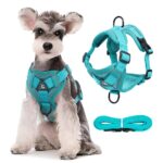 cat harness leash - Pet Collars & Leashes - China Pet Accessories Manufacturer | Dog Harness,Pet Leash,Dog Collar,Cat ...