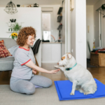 cooling pad - Pet Beds & Accessories - China Pet Accessories Manufacturer | Dog Harness,Pet Leash,Dog Collar,Cat Colla...