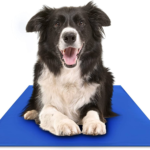 cooling pad - Pet Beds & Accessories - China Pet Accessories Manufacturer | Dog Harness,Pet Leash,Dog Collar,Cat Colla...