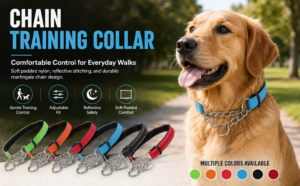dog collar-2 - Pet Collars & Leashes - Cibaypets