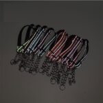 dog collar-2 - Pet Collars & Leashes - China Pet Accessories Manufacturer | Dog Harness,Pet Leash,Dog Collar,Cat Colla...