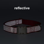 dog collar - Pet Collars & Leashes - China Pet Accessories Manufacturer | Dog Harness,Pet Leash,Dog Collar,Cat Collar,...
