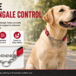 dog collar-2 - Pet Collars & Leashes - China Pet Accessories Manufacturer | Dog Harness,Pet Leash,Dog Collar,Cat Colla...