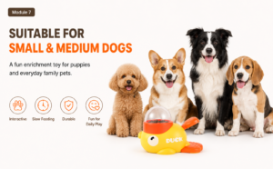 pet toy - Pet Toys - Cibaypets