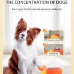 pet toy - Pet Toys - China Pet Accessories Manufacturer | Dog Harness,Pet Leash,Dog Collar,Cat Collar,Dog Chain,Pet Toy,Pe...
