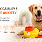 pet toy - Pet Toys - China Pet Accessories Manufacturer | Dog Harness,Pet Leash,Dog Collar,Cat Collar,Dog Chain,Pet Toy,Pe...