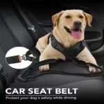 tactical dog leash - Pet Collars & Leashes - China Pet Accessories Manufacturer | Dog Harness,Pet Leash,Dog Collar,Cat...